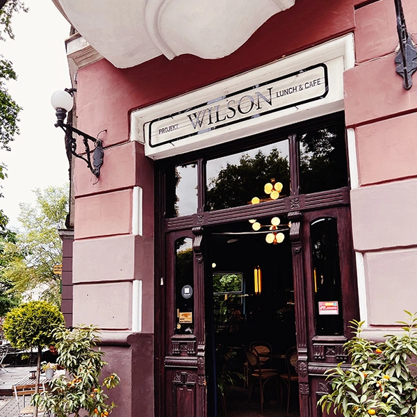 Mytujemy-Projekt-Wilson-4