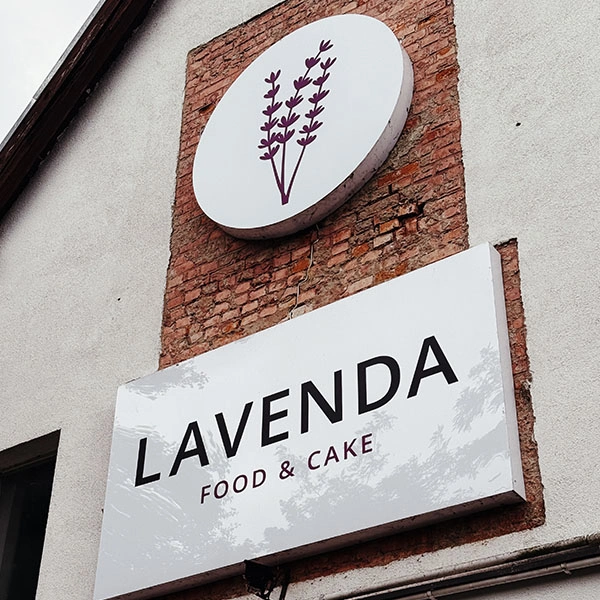 mytujemy-Lavenda-Grunwald-10