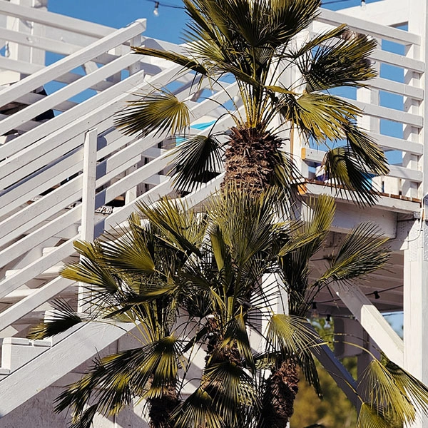 mytujemy-klub-na-fali-12