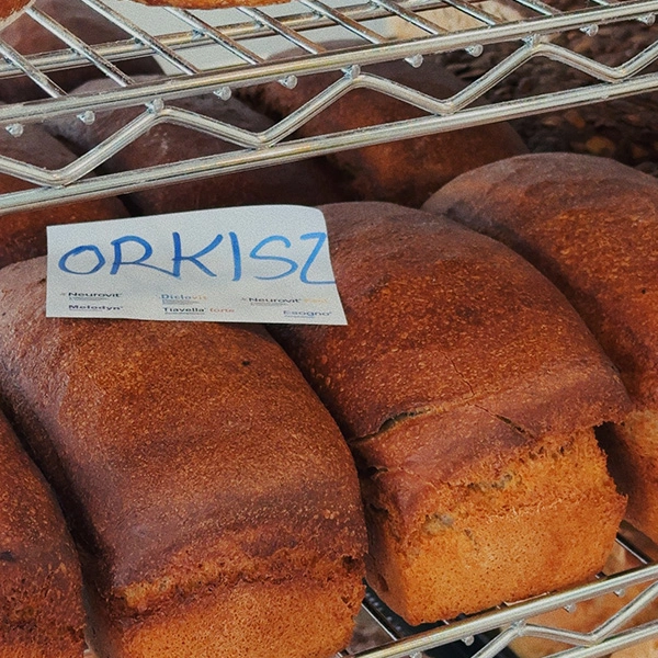 mytujemy_TU-SIE-PIECZE-RATAJE-5