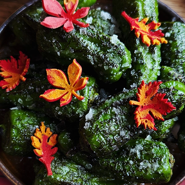 mytujemy-PASODOBRE-9