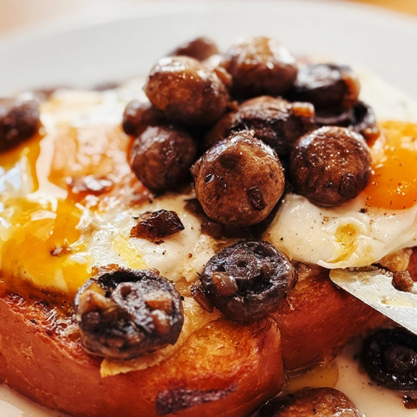 mytujemy-TOWAROWA-WODNA-9