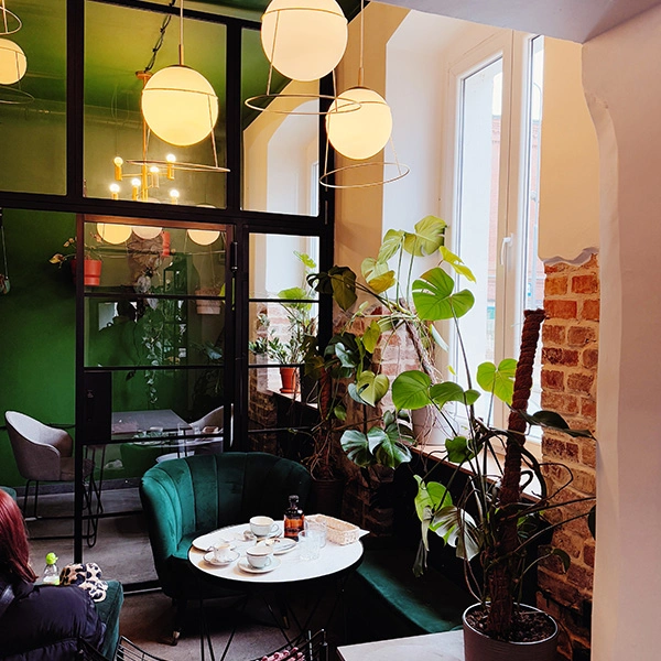 mytujemy-MOWISH-MASH-8