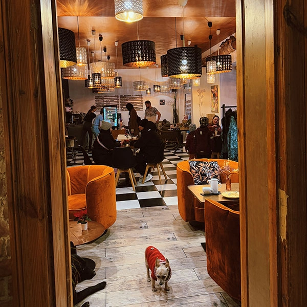 mytujemy-paczus-i-kawusia-6