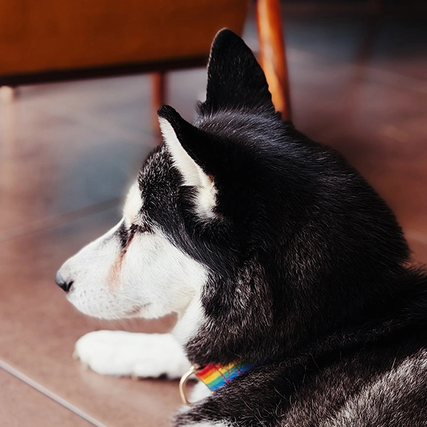 mytujemy-OLDSKULOWA-12